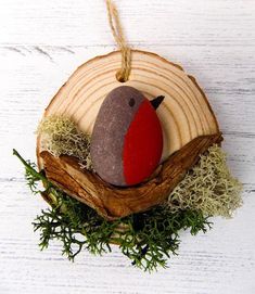 a red bird sitting on top of a piece of wood