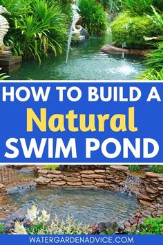 how to build a natural swimming pond in the garden with text overlay that reads, how to build a natural swim pond