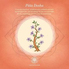 Sandalwood calms the pitta dosha Pitta Yoga, How To Balance Pitta Dosha, Pita Dosha Ayurveda, Pitta Dosha Diet, Ayurvedic Recipes Pitta, Pita Vata Dosha, Ayurveda Pitta Vata Diet, Cookie Package