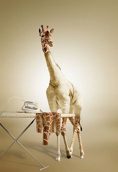 a giraffe standing next to an ironing board on top of a table