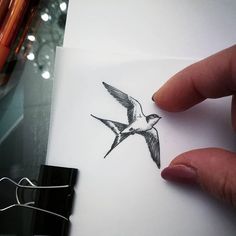 a hand holding a piece of paper with a bird drawn on it and some pencils in the background