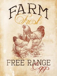 an old farm fresh sign with two chickens and the words free range egg on it