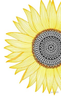 a drawing of a yellow sunflower with black and white details on it's petals