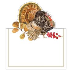 a turkey on a branch with berries in the foreground and an empty white background