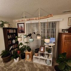 a living room filled with lots of potted plants