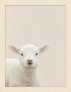 a white sheep standing in front of a light colored wall with a frame on it's side