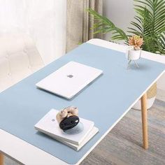 a laptop computer sitting on top of a blue table next to a potted plant