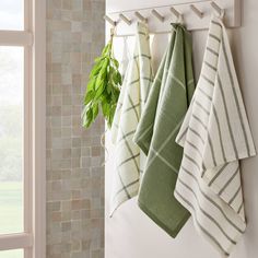 four towels hanging on the wall next to a potted plant