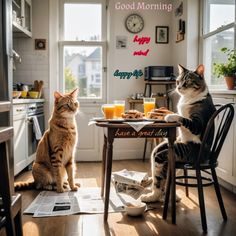 two cats sitting at a table with breakfast food on it and the caption reads good morning happy new year