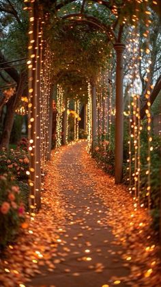 a pathway covered in lots of lights next to trees