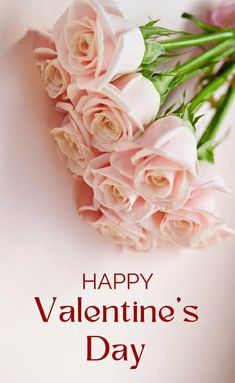 a bouquet of pink roses sitting next to the words happy valentine's day