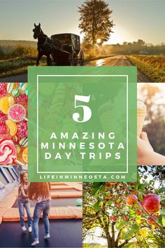 the top five things to see and do in minnesota, including an image of a horse drawn