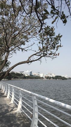 there is a bench on the side of the water