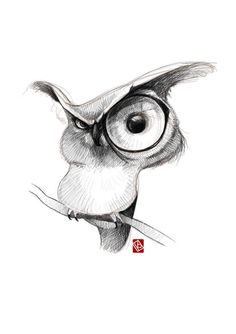 an owl with glasses on it's head and its eyes are drawn in pencil