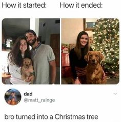 two people and a dog in front of a christmas tree with the caption how it started how it ended