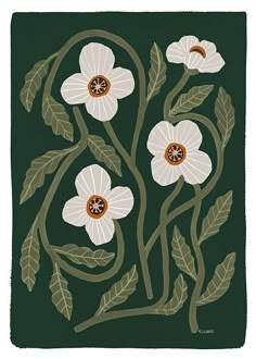 an image of white flowers on green background