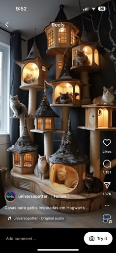 an image of a cat house with cats on it's roof and lights in the windows