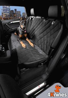 a dog is sitting in the back seat of a car with city lights behind it