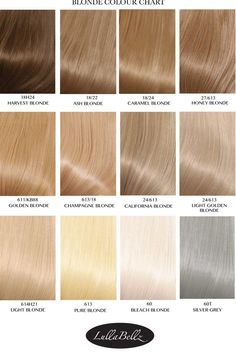 Champagne Blond, Champagne Blonde Hair, Golden Blonde Hair Color, Lowlights Blonde, Honey Blonde Hair Color, Golden Blonde Hair, Highlights Blonde, Hair Color Chart, Dirty Blonde Hair