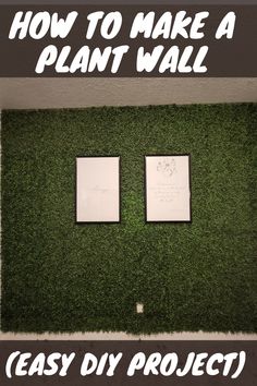 an artificial grass wall with two frames on it and the words how to make a plant wall easy diy project