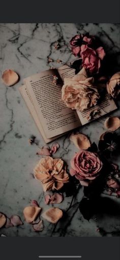 an open book sitting on top of a marble table next to dried flowers and petals