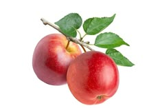 two red apples with green leaves on a white background