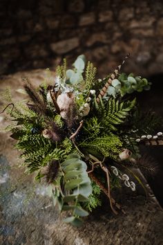 an arrangement of plants and foliage on a rock