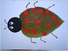 a paper plate with a leaf and a lady bug on it