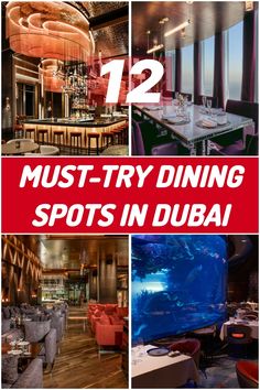 Join me on a culinary adventure through Dubai! I’ve discovered 12 must-try dining spots that showcase the vibrant food scene, from luxury restaurants with breathtaking views to unique experiences that tantalize the taste buds. Whether you’re a foodie or just looking for a memorable meal, these venues offer something for everyone. Let’s explore the flavors of Dubai together! Vibrant Food, Luxury Restaurant, Unique Experiences, Top Restaurants, Best Dining, Best Restaurants, Dining Experiences, Taste Buds