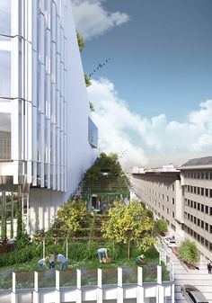 an artist's rendering of a green roof on the side of a tall building