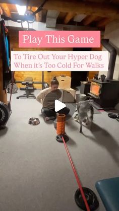 a man sitting on the floor with a dog in front of him and text that reads play this game to fire out your hyper dog when it's too cold for walks