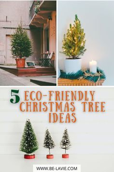 five eco - friendly christmas tree ideas that are easy to make and great for the holiday season