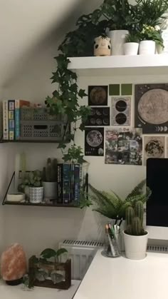 there are many plants and books on the shelves