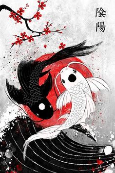 Black And White Koi Fish, White Koi Fish, Koi Fish, Koi, Fish, Black And White, Red, White, Black