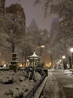 snow covered park benches and trees in the city at night with lights shining on them