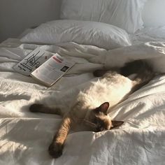 a cat laying on top of a white bed covered in blankets and pillows next to an open book