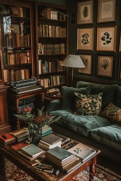 a living room filled with furniture and lots of books