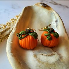 two small pumpkins sitting on top of an oyster shell