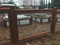 the fence is made of wood and has several plants growing in each cage on top of it