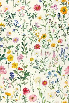 a white background with colorful flowers and leaves on the bottom right corner is an illustration of wildflowers