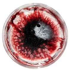 an eyeball with blood on the inside