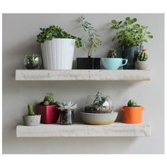 two white shelves with plants and pots on them, one is filled with succulents