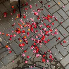 petals on the ground next to a fire hydrant