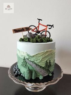 there is a cake that looks like a mountain bike on top of it with trees and rocks