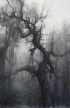 a black and white drawing of a tree in the woods with fog coming from its branches