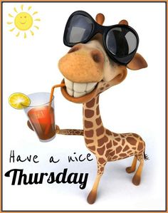 a giraffe wearing sunglasses and holding a drink