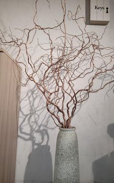 a vase that has some branches in it