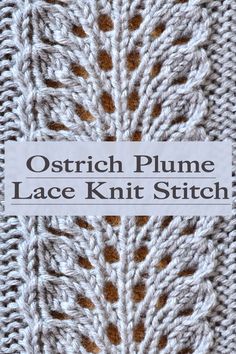 the lace knit stitch pattern is shown with text overlay that reads, ostrich plume lace knit stitch