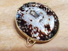 "This is a beautiful Limpet seashell coin or pill purse. It measures approximately 2\" by 2 1/2\" by 1\". The seashells are all natural so there will be slight color variations. They are hinged for easy opening and closing. Makes a great, very unique gift. All completely handmade in the USA!" Round Shell As A Gift, Pill Bottles, Pill Boxes, All Natural, Sea Shells, Color Variations, Coin Purse, Jewelry Accessories, Unique Gifts