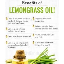 Lemongrass Oil | vanillatech.net Cold Home Remedies, Shower Gel, Home Remedies, Body Lotion, Lotion, Body Lotions